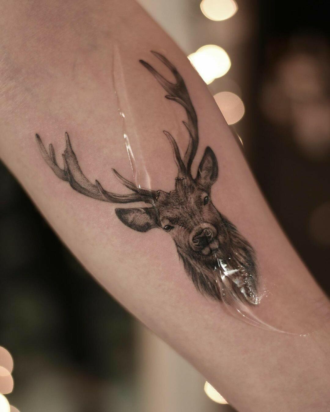Inksearch tattoo tattoo_ur_bodys