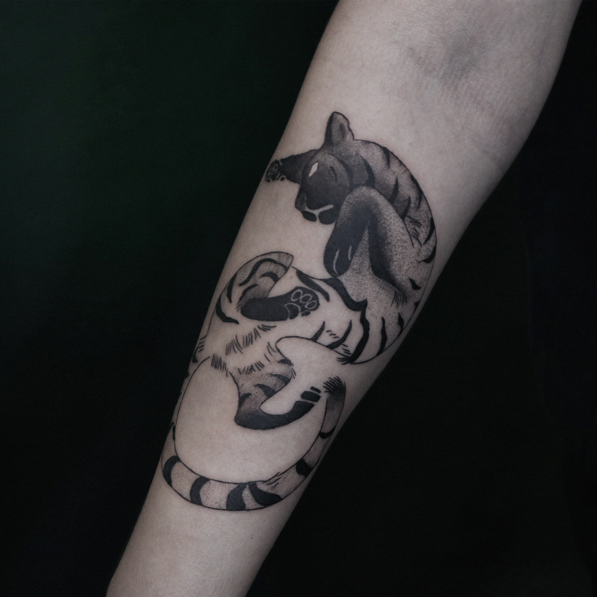 Inksearch tattoo Tamanduabox