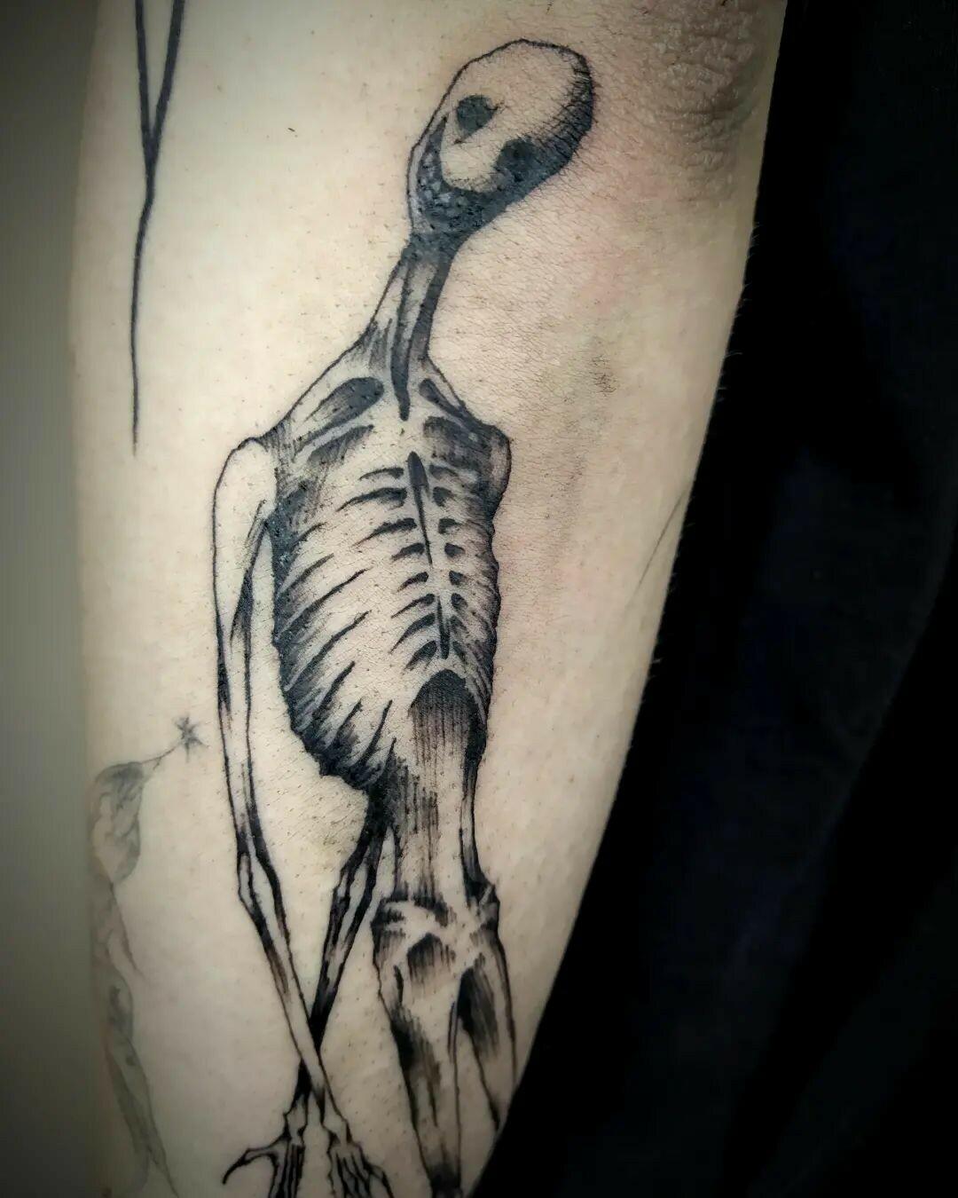 Inksearch tattoo basiak.ttt