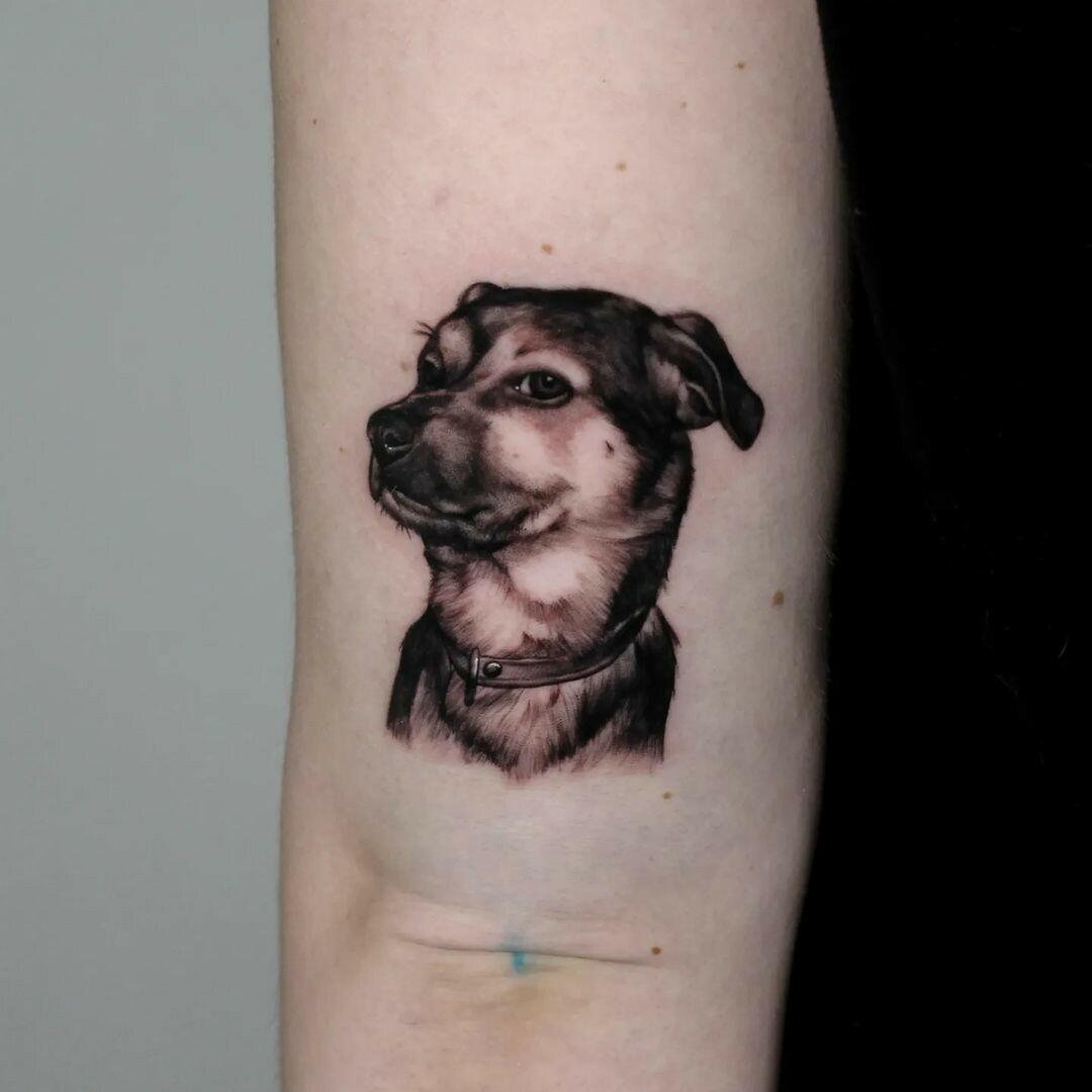 Inksearch tattoo myszata tattoo
