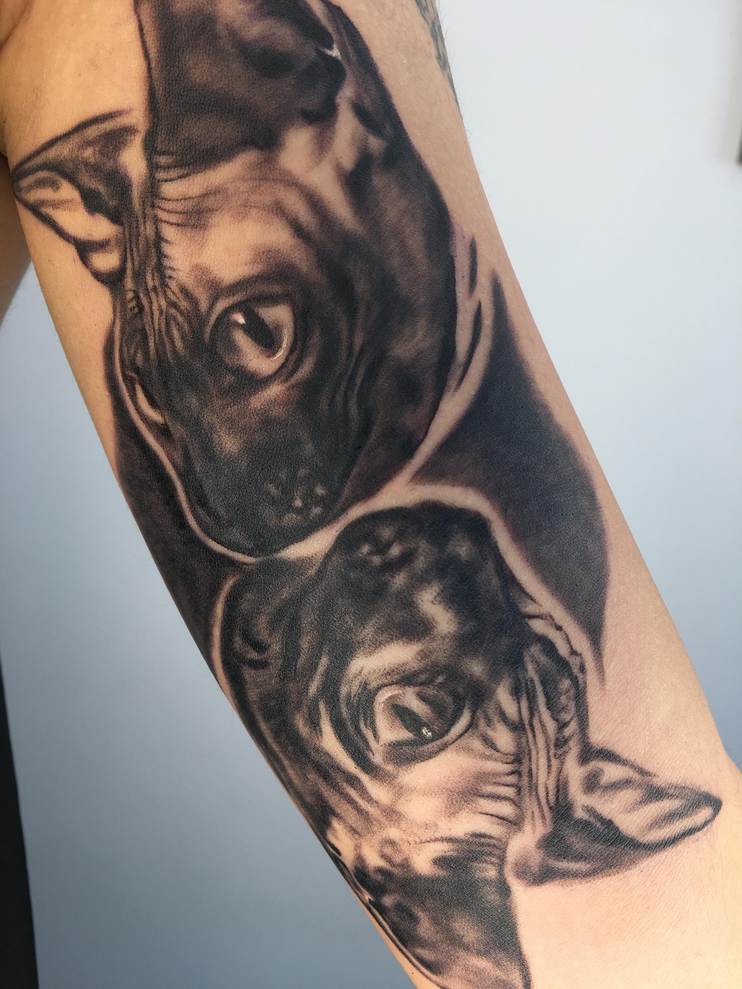 Inksearch tattoo Daria Petropavlovska