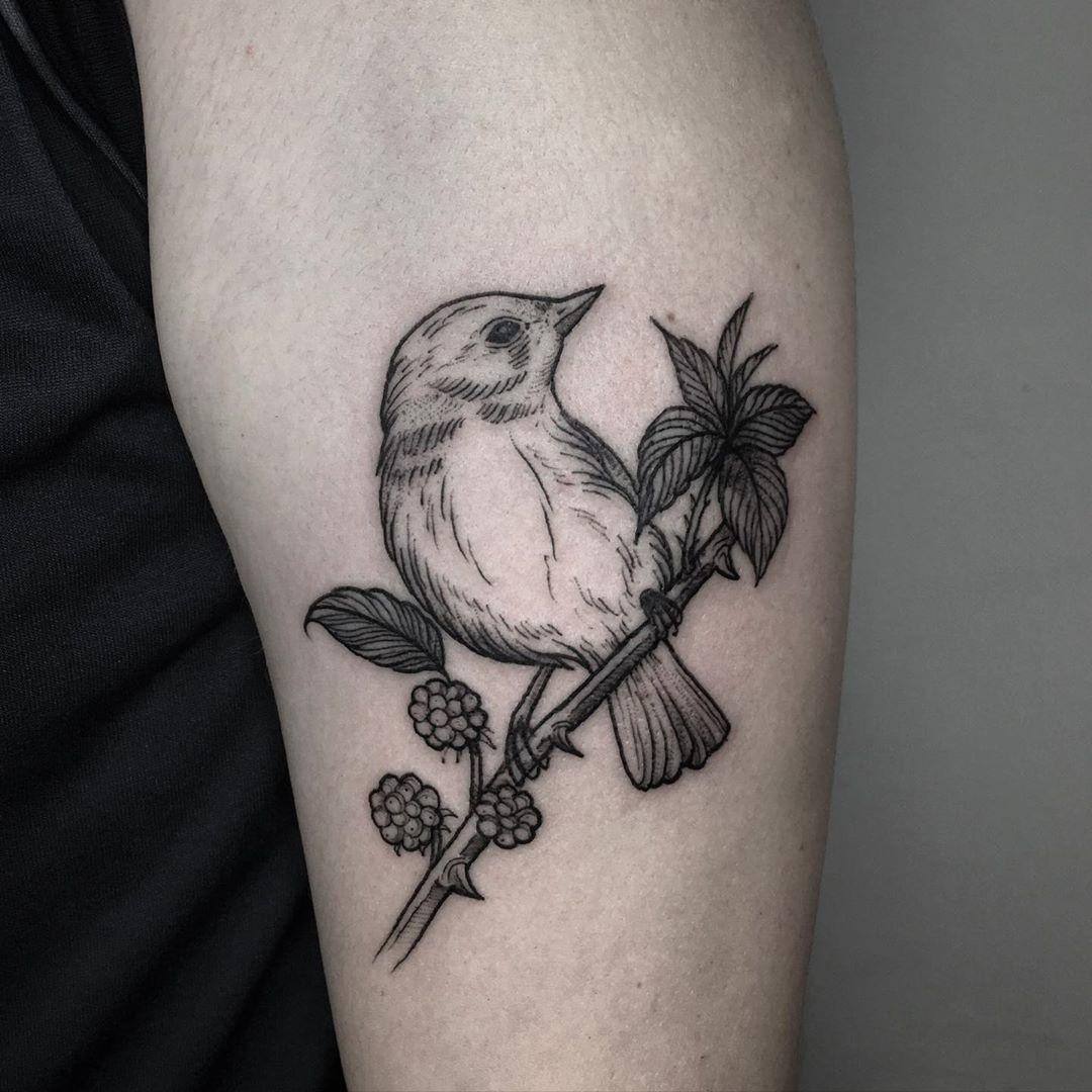 Inksearch tattoo Ola Płocidem