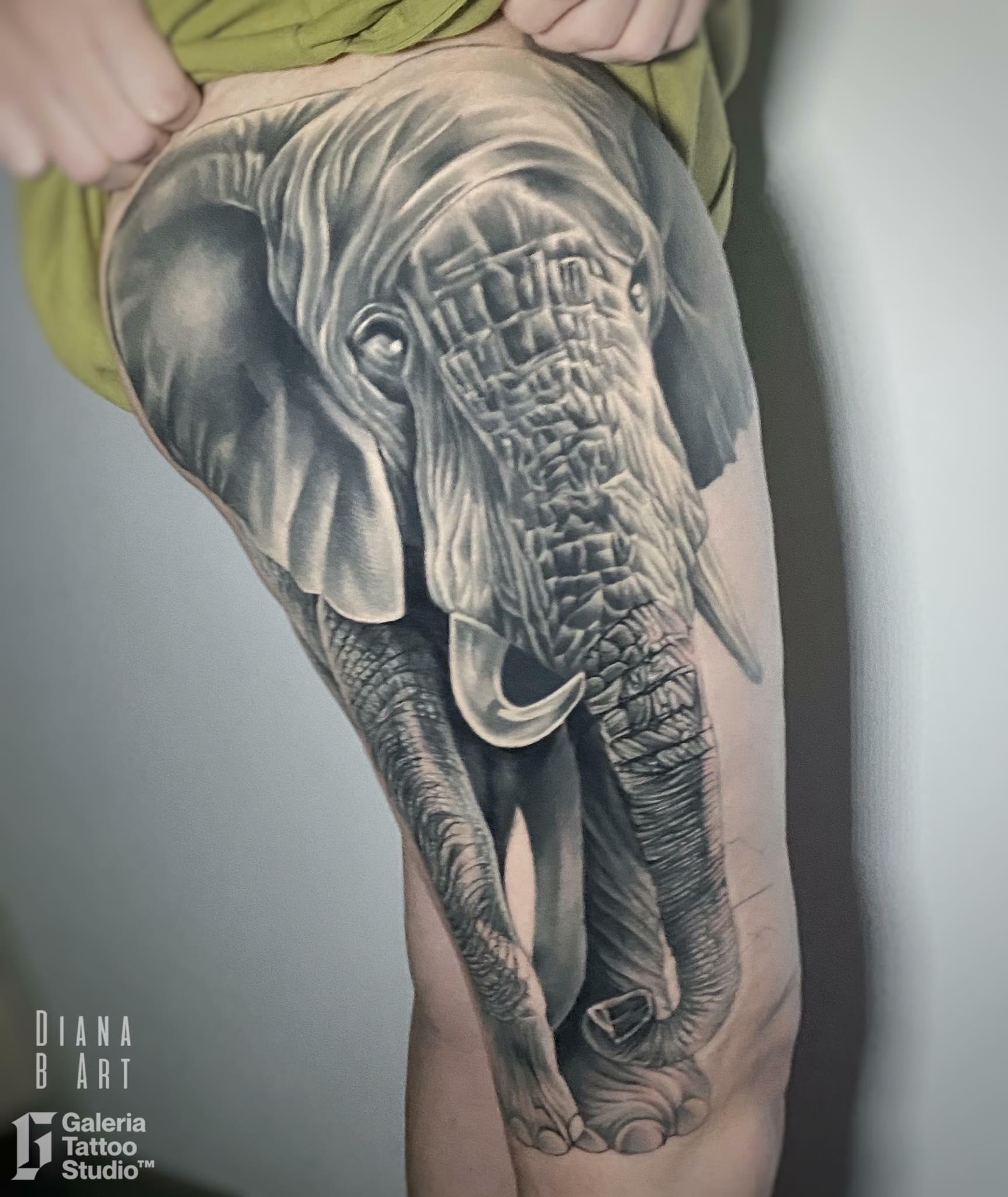 Inksearch tattoo Galeria Tattoo Studio