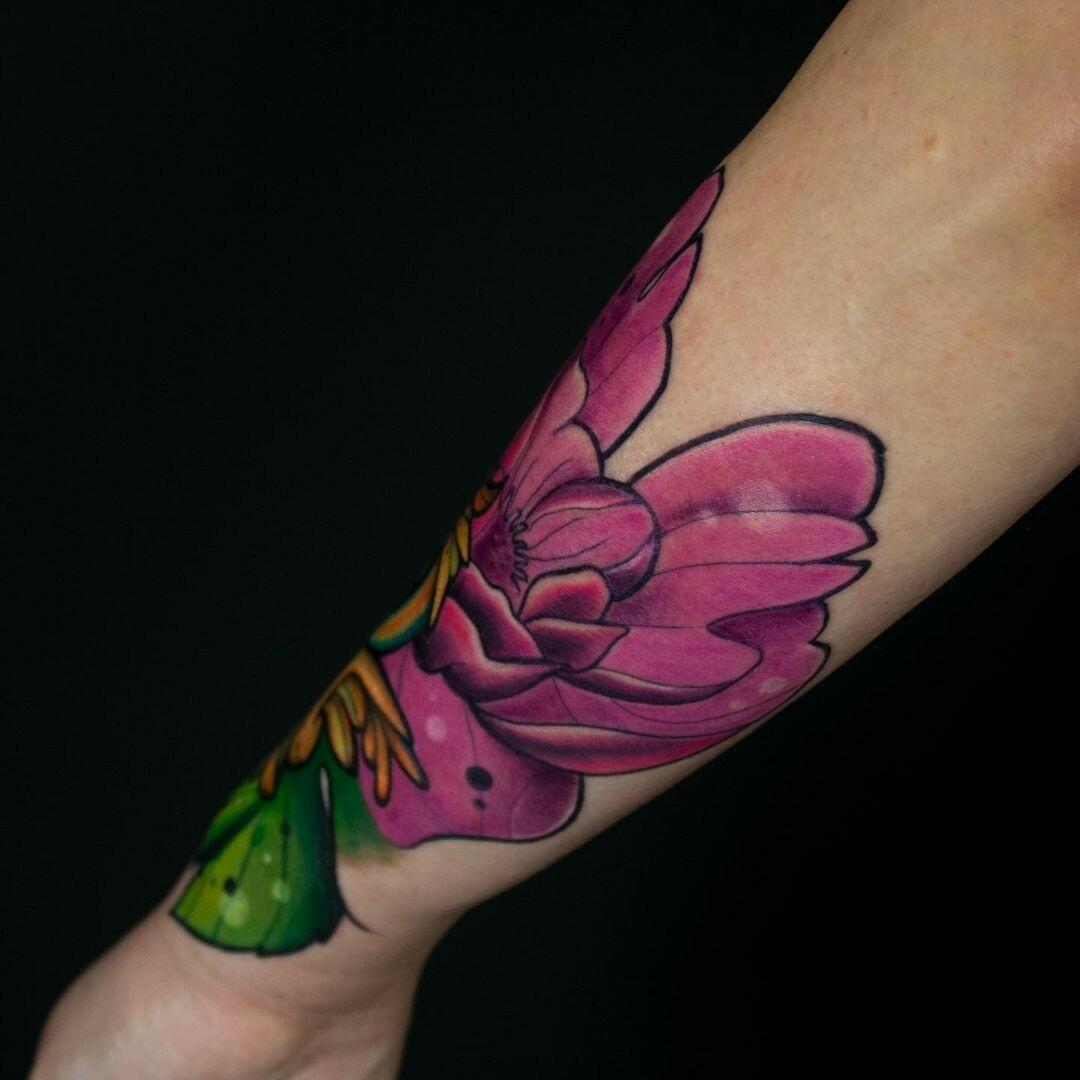 Inksearch tattoo Hannah Evolution