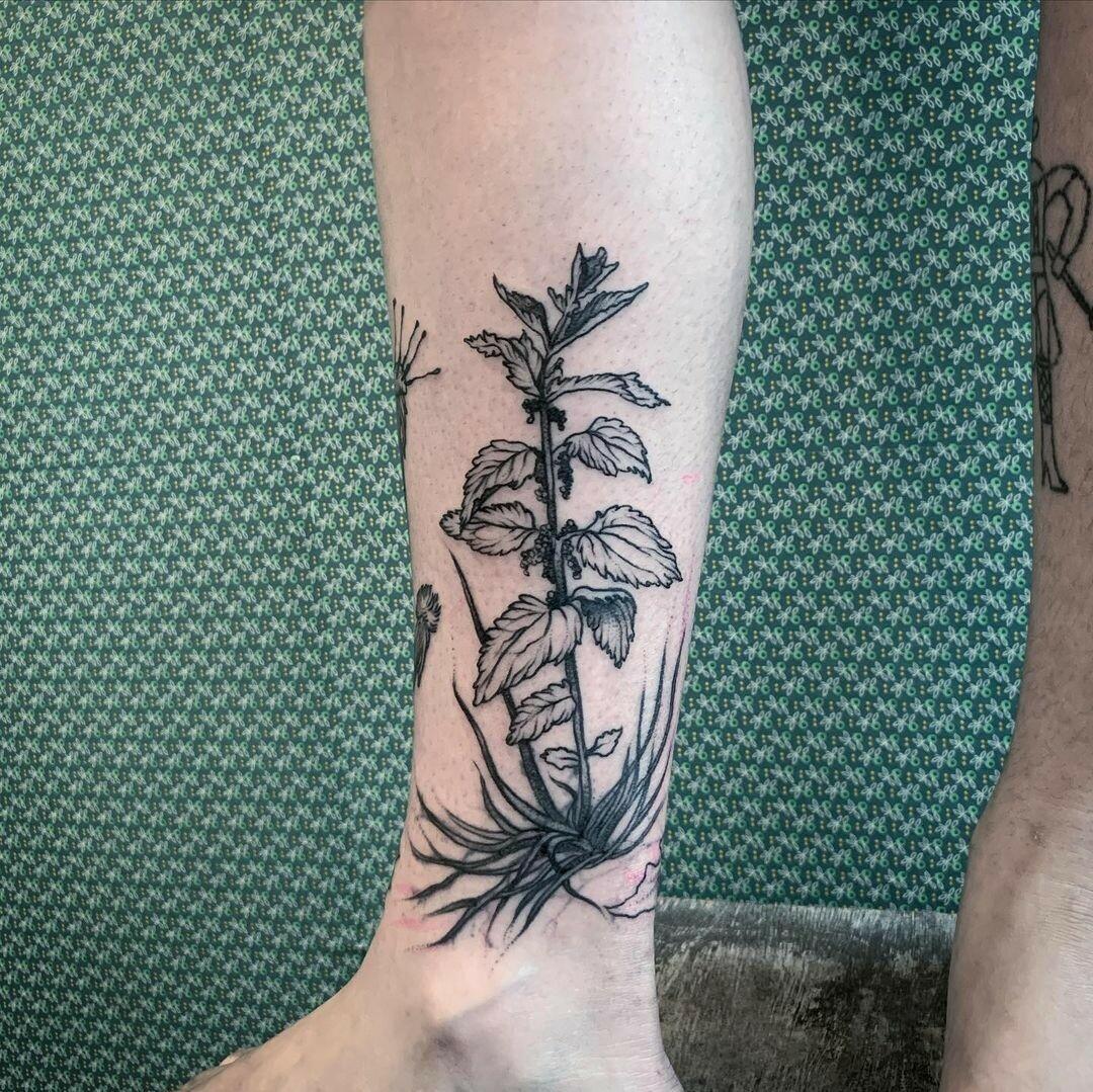 Inksearch tattoo Roots-n-Wings Tattoo