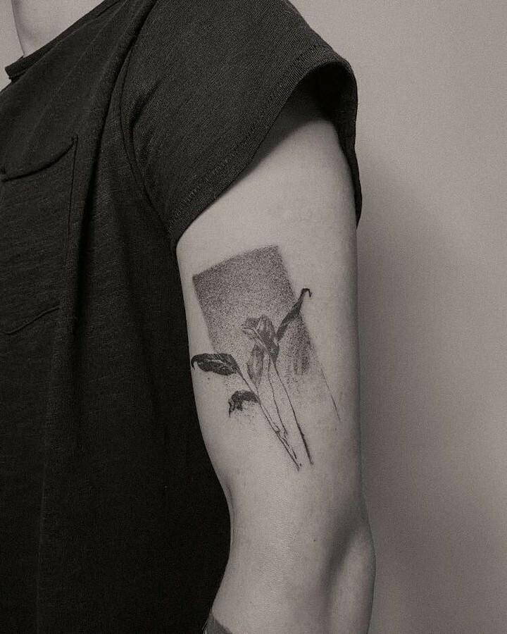 Inksearch tattoo Kaktus Ink
