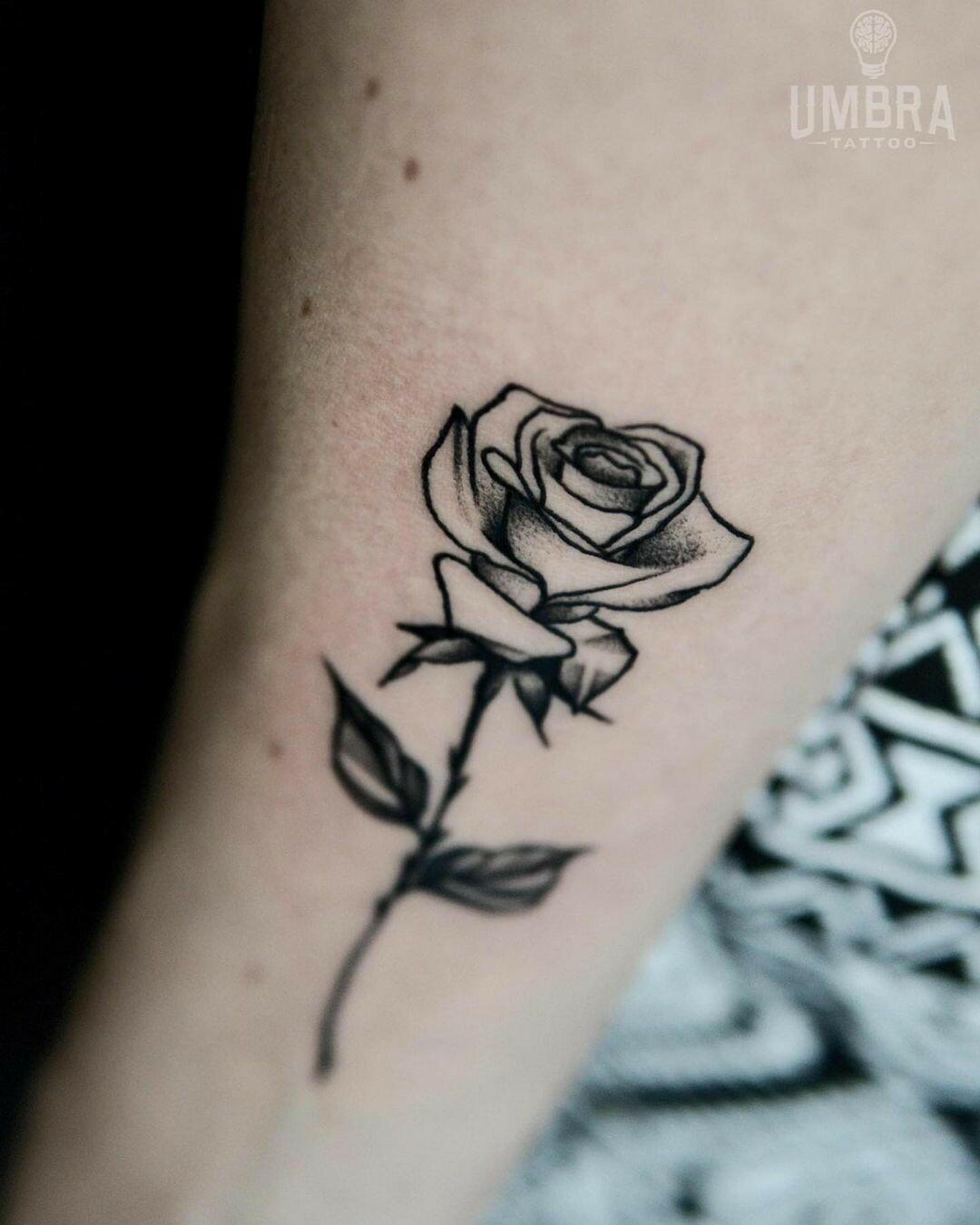Inksearch tattoo Umbra Tattoo Wrocław