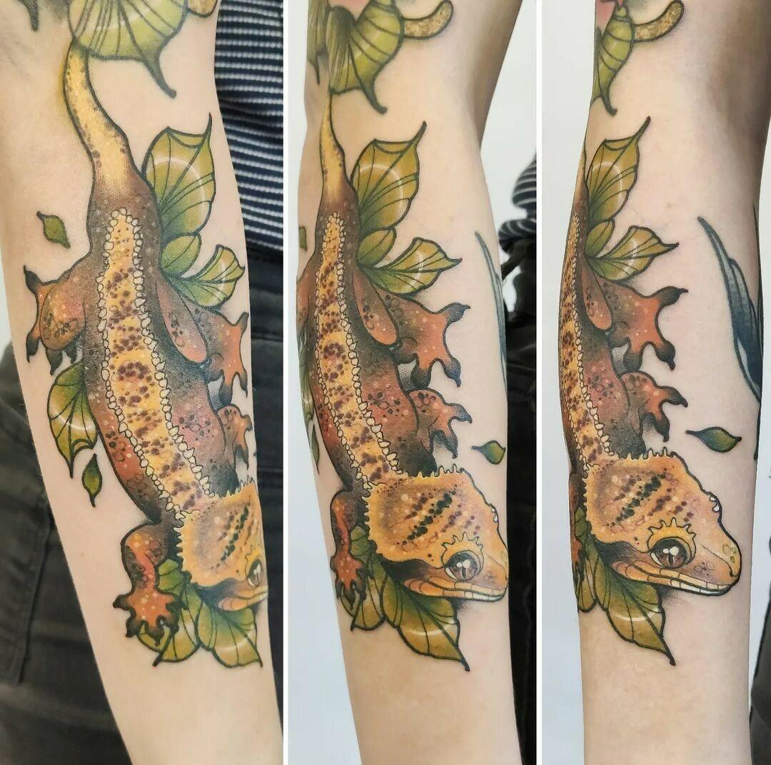 Inksearch tattoo Dziary u Barbary