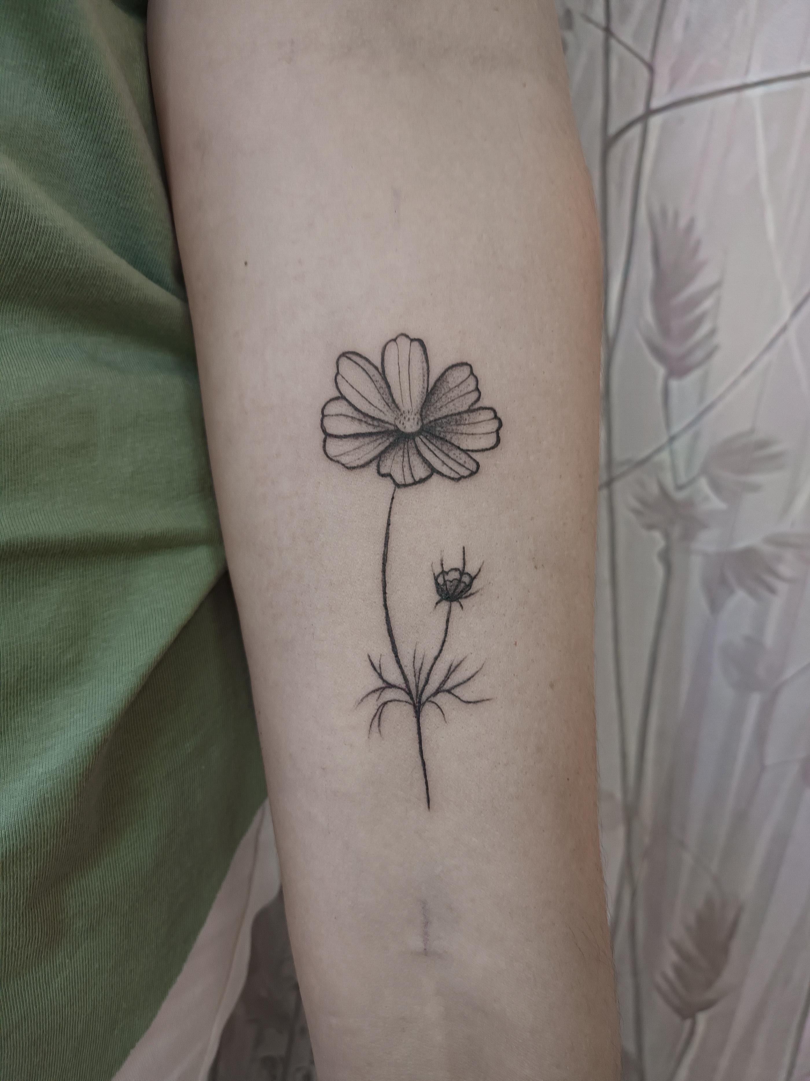 Inksearch tattoo Polepiona Tattoo