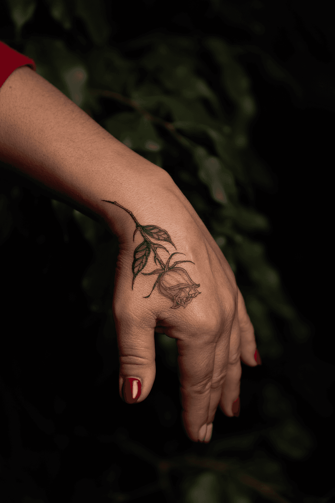 Inksearch tattoo Dzejkopfs