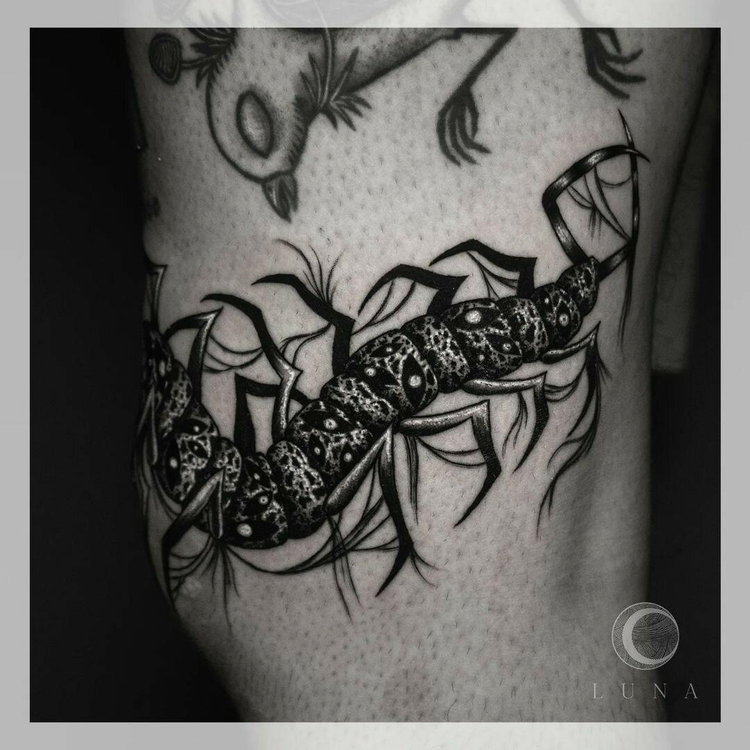 Inksearch tattoo luna tattoo
