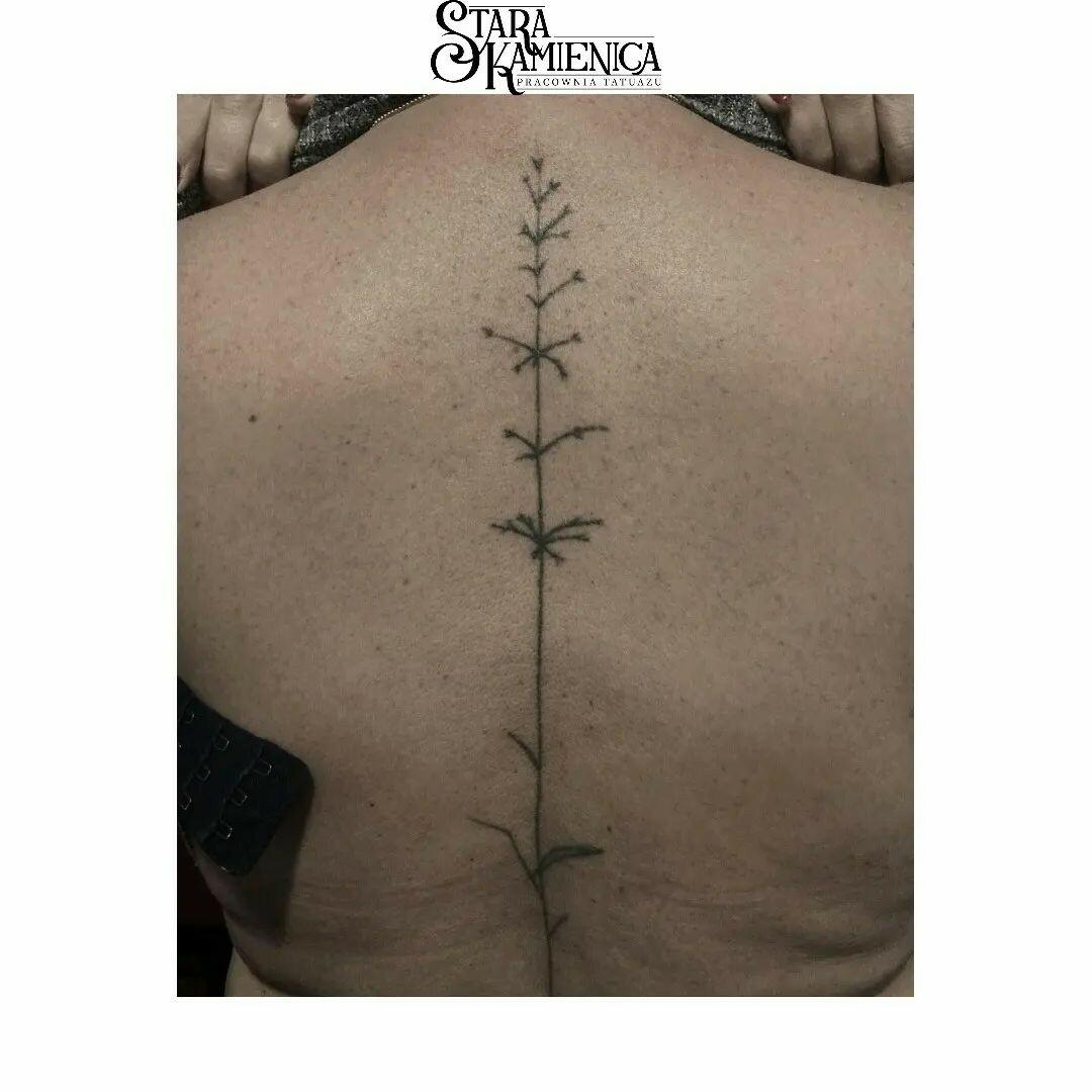 Inksearch tattoo Stara Kamienica Pracownia Tatuażu