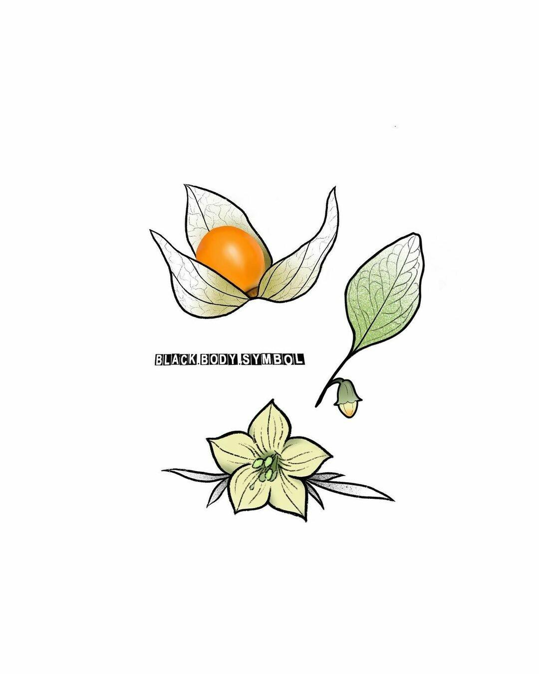 Inksearch tattoo Halko Tattoo Vegan Tattoos