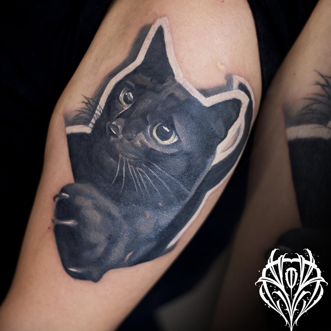 Inksearch tattoo Dziary i Gitary