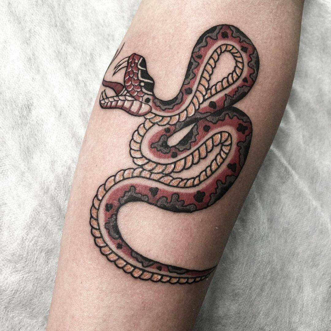 Inksearch tattoo Nautilus Tattoo Studio