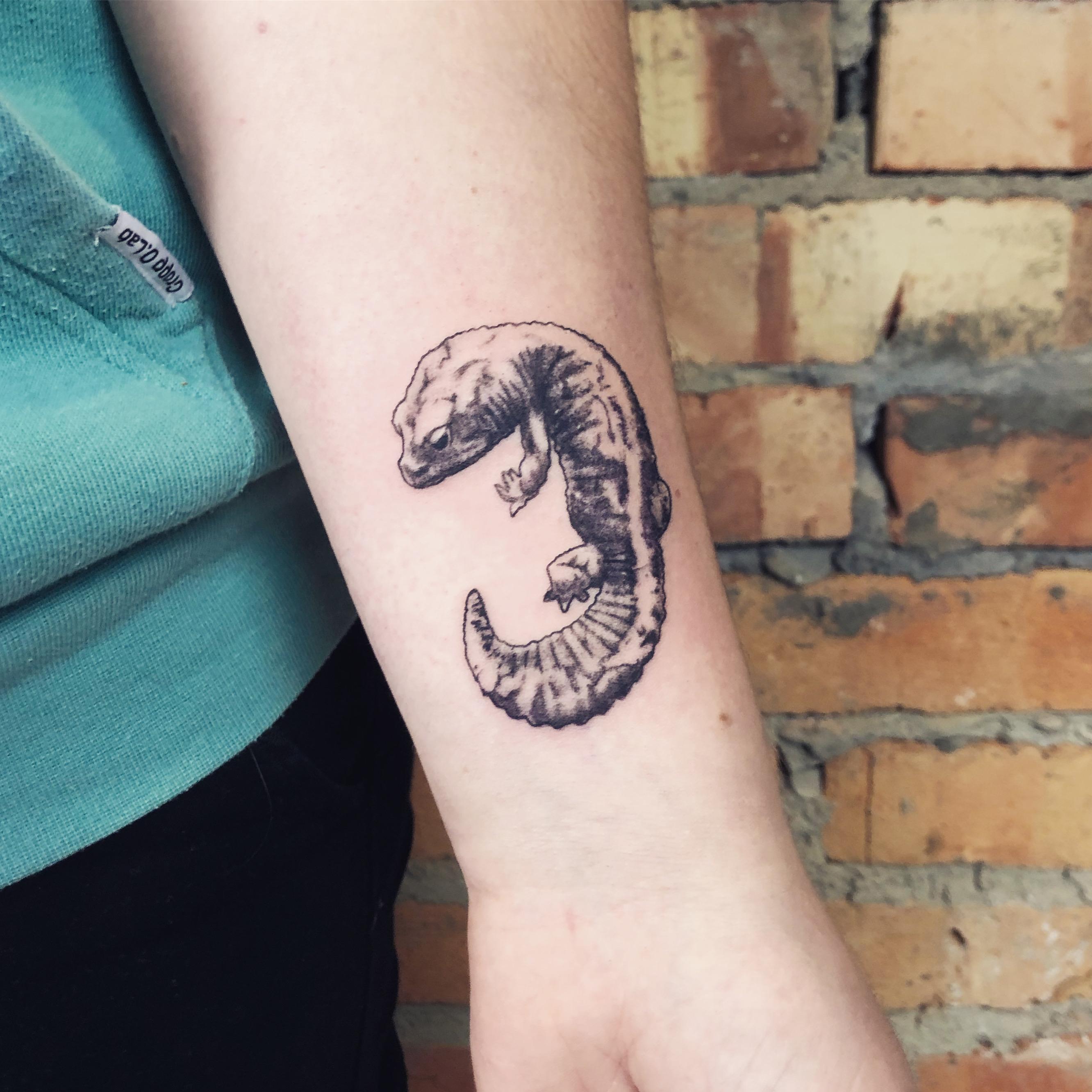 Inksearch tattoo Chamski kontur