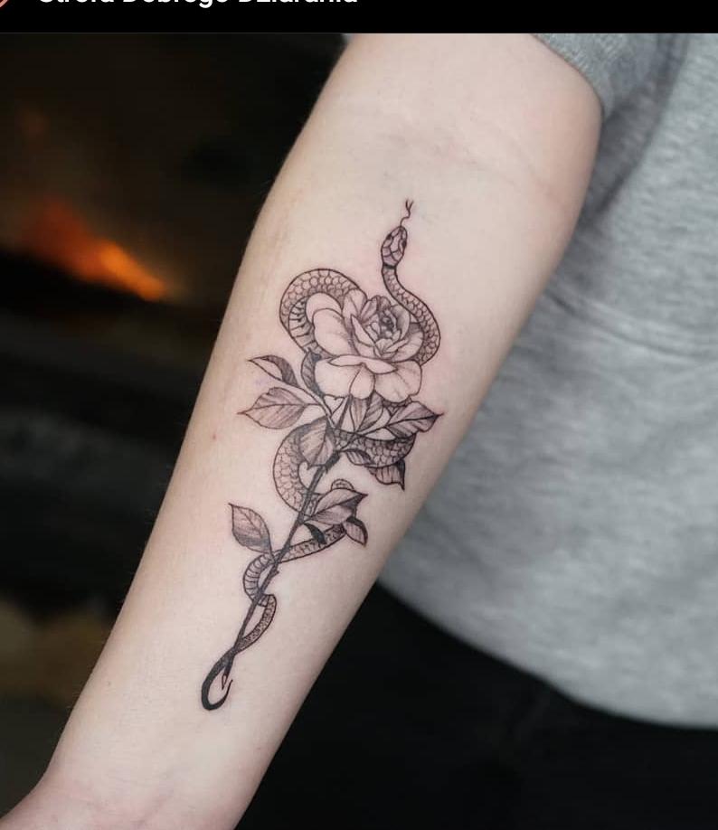Inksearch tattoo Koti Tattoo Anna Pękala
