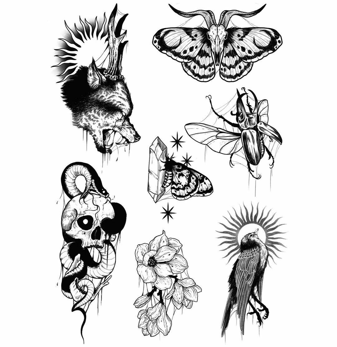 Inksearch tattoo Stara Kamienica Pracownia Tatuażu