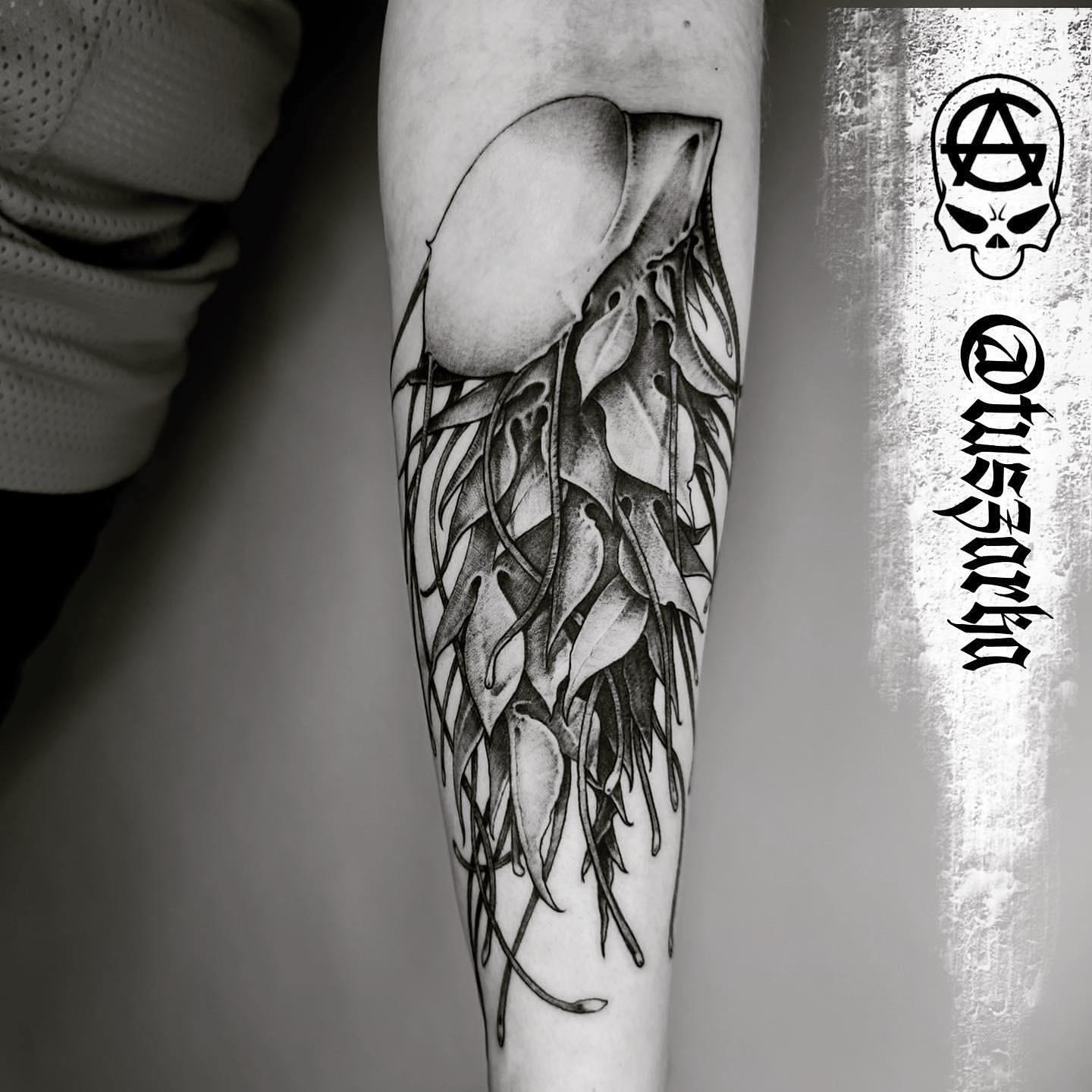 Inksearch tattoo Tuszarka