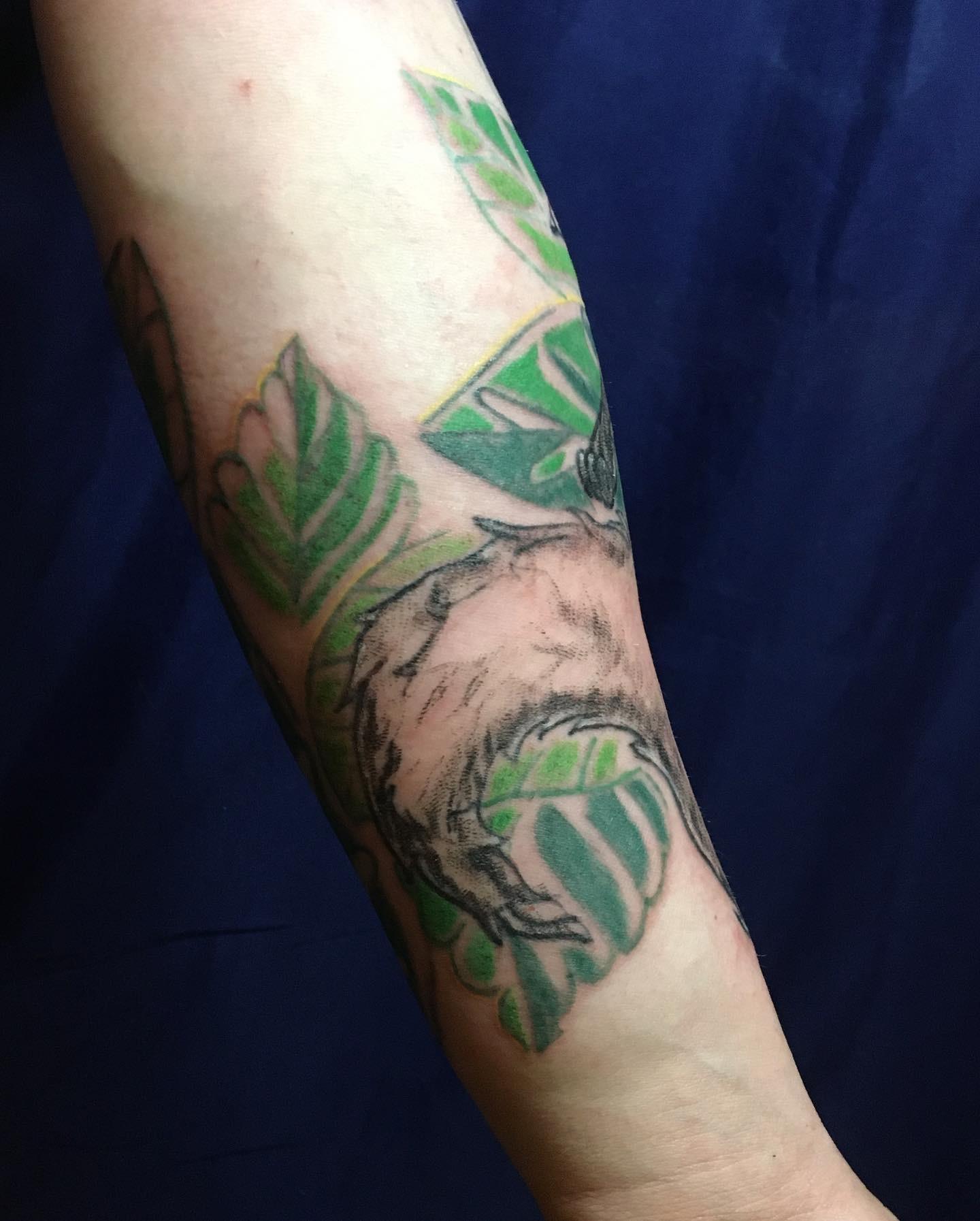 Inksearch tattoo Momoko Chan