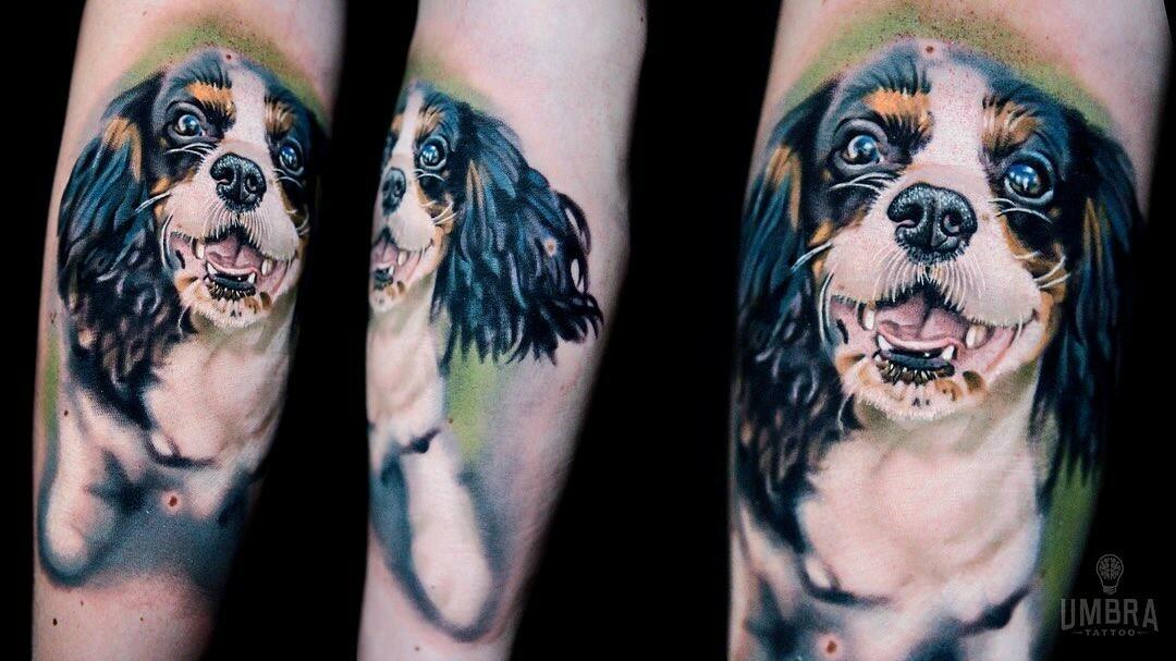 Inksearch tattoo Umbra Tattoo Wrocław