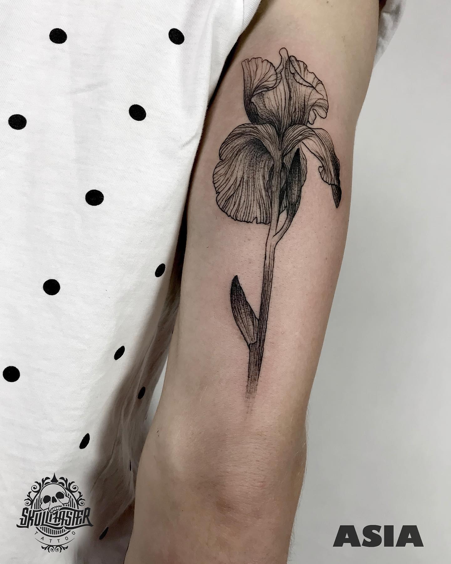 Inksearch tattoo Joanna Kudzia
