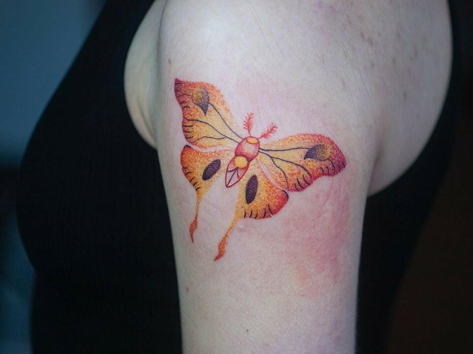 Inksearch tattoo Bez i Agrest