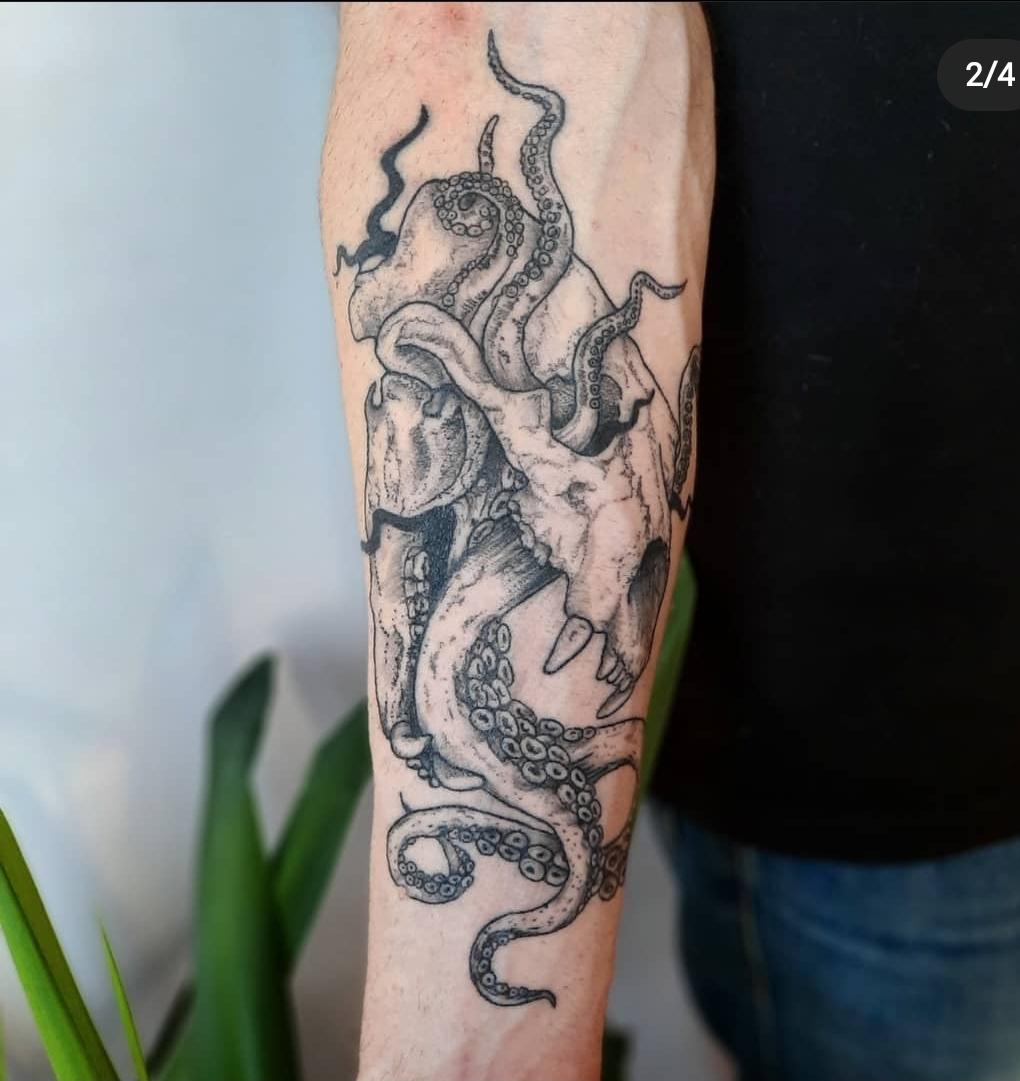 Inksearch tattoo Koti Tattoo Anna Pękala