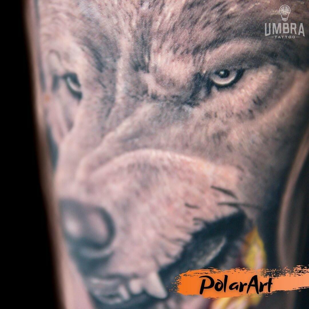 Inksearch tattoo PolarArt
