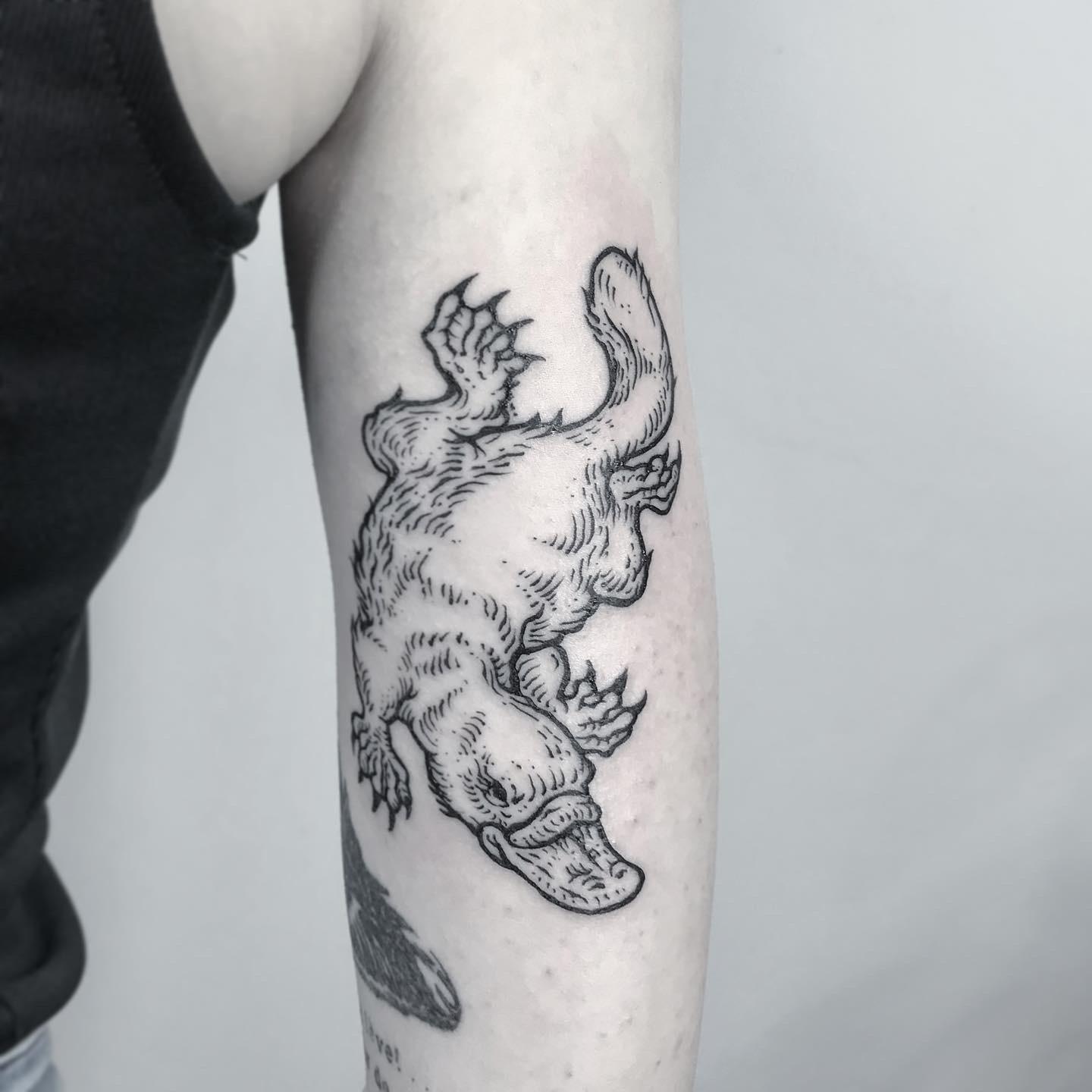 Inksearch tattoo Zuza galu