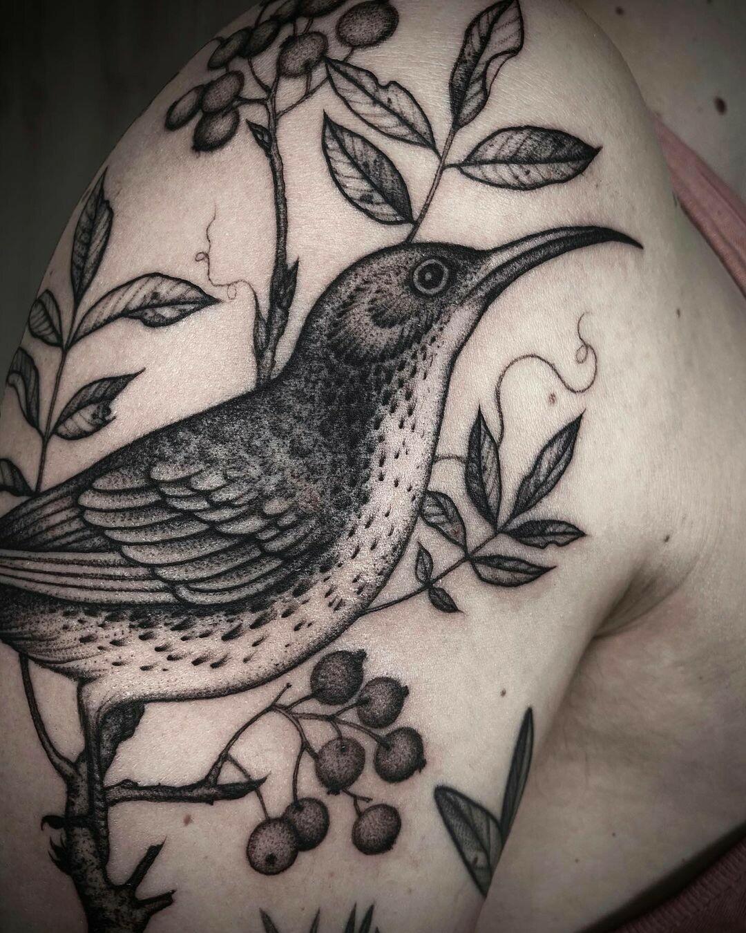 Inksearch tattoo Siemka Tattoo