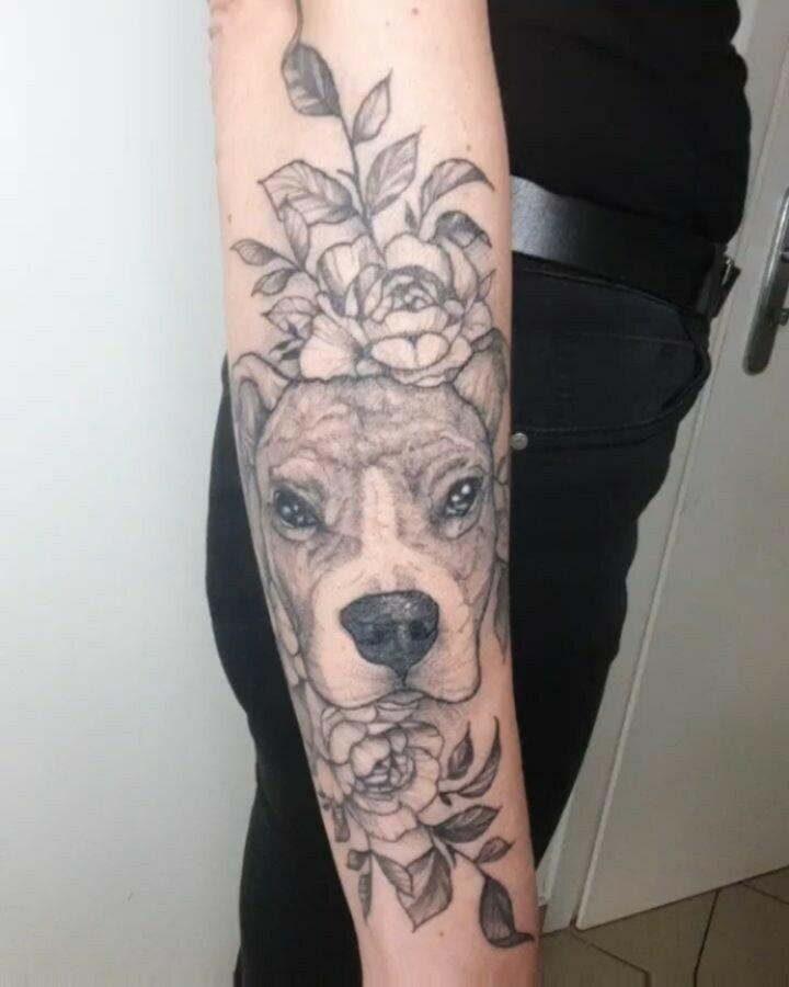 Inksearch tattoo Koti Tattoo Anna Pękala