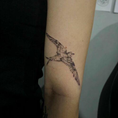 Sasia inksearch tattoo