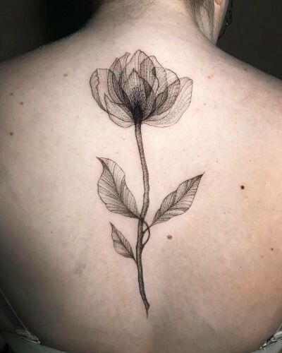 Zajawa Kraków inksearch tattoo