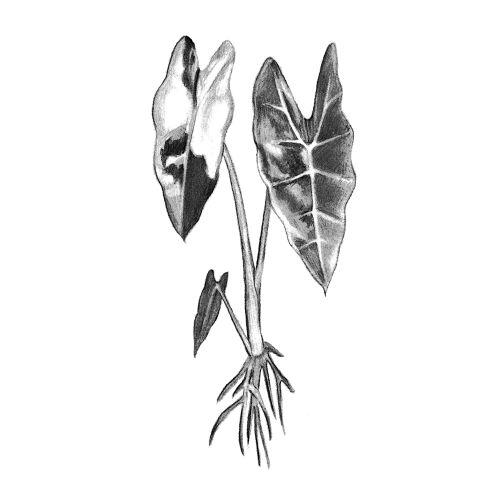 undefined inksearch tattoo