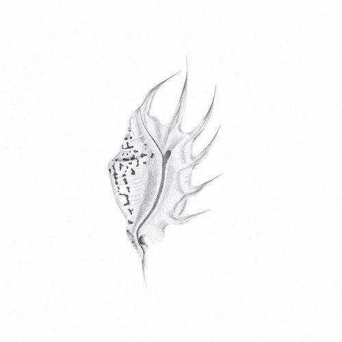Tygrys inksearch tattoo