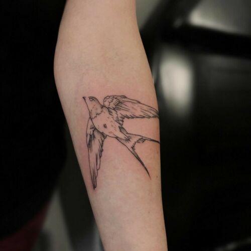 Sasia inksearch tattoo