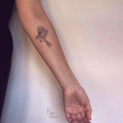 Mozetatuazyk inksearch tattoo
