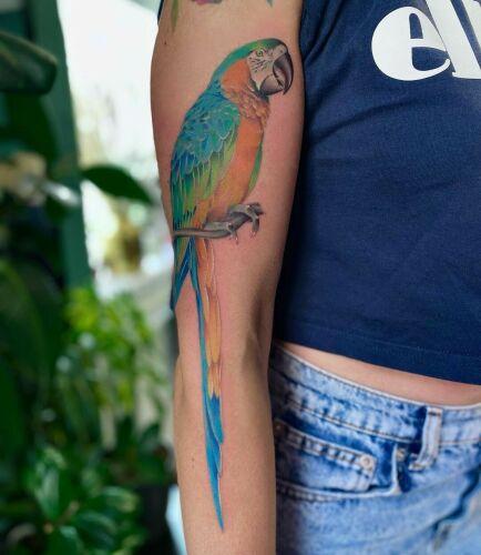 Weź Się Tattoo inksearch tattoo