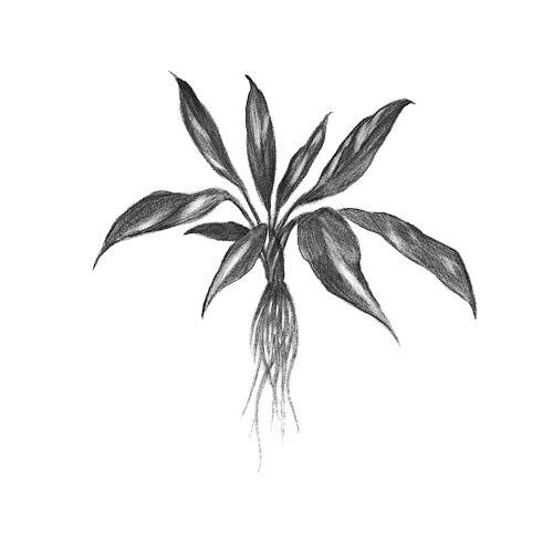 undefined inksearch tattoo