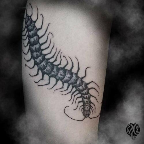 Eryka inksearch tattoo