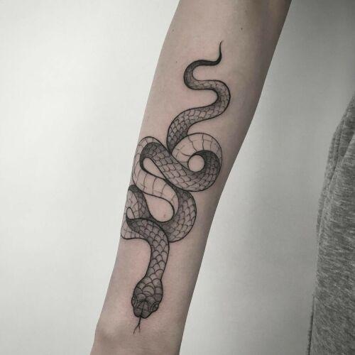 Ola Płocidem inksearch tattoo