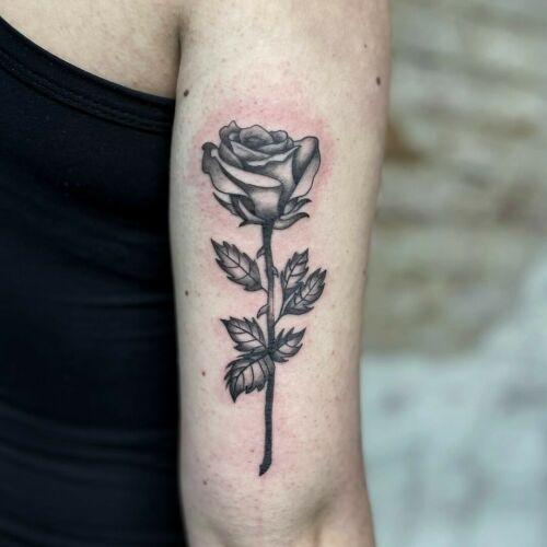 Speak In Color inksearch tattoo