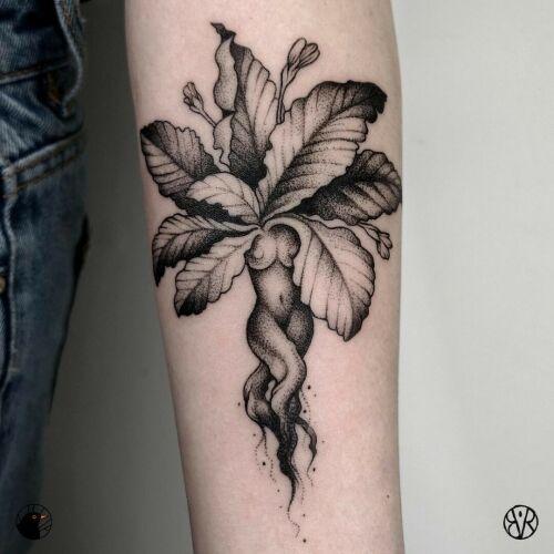 Bogna Rumianowska inksearch tattoo
