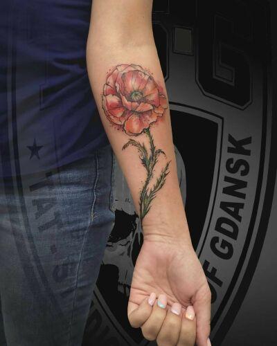 Jarosław Def  Tat-Studio inksearch tattoo