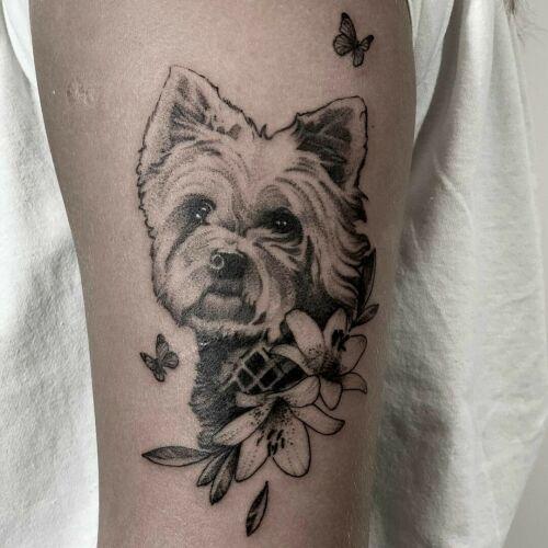 Karol Sutura inksearch tattoo