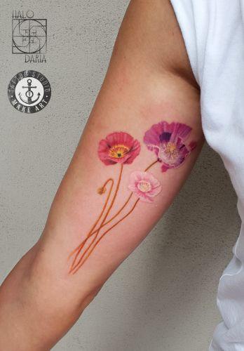 HALODARIA inksearch tattoo