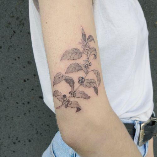 undefined inksearch tattoo