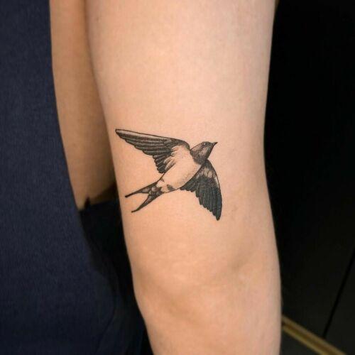 Kwiat Paproci Tattoo by Agnieszka Szneidrowska inksearch tattoo