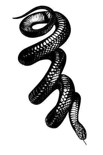 undefined inksearch tattoo